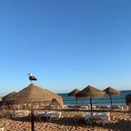 شقة Olimar Sea View