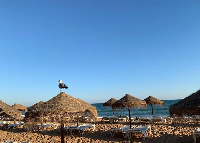 شقة Olimar Sea View